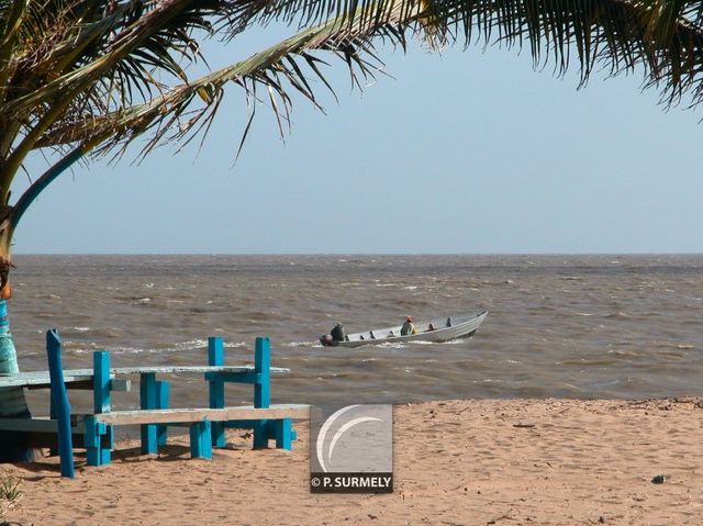 La plage
Mots-clés: Guyane;Amrique;Awala-Yalimapo