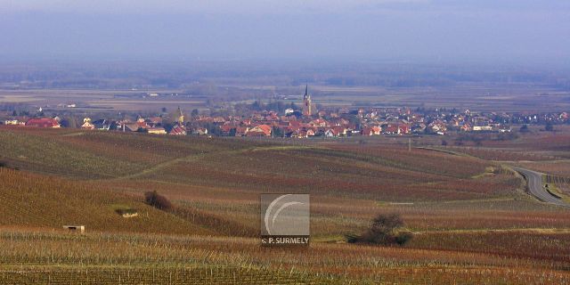 Bergheim
          
Mots-clés: France;Europe;Alsace;Bergheim
