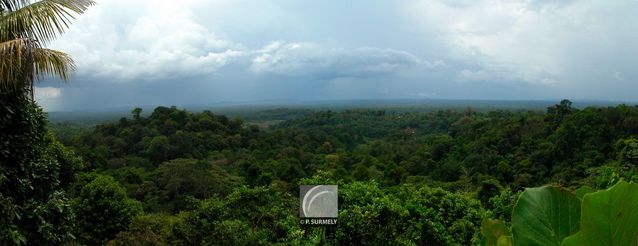 La fort prs de Cacao
Mots-clés: Guyane;Amrique;Cacao