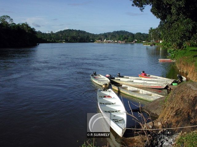 La Camopi
Mots-clés: Guyane;Amrique;Camopi;fleuve