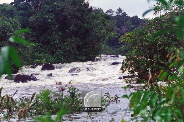 Saut Grand Canouri
Mots-clés: Guyane;Amrique;fleuve;rivire;cascade;Grand Canouri;Approuague
