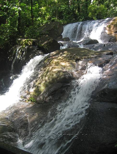 Chutes de Frougassi
Mots-clés: Guyane;Amrique;fleuve;rivire;cascade;Fourgassi