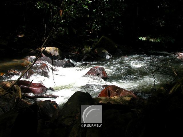 Crique Grillon
Mots-clés: Guyane;Amrique;fleuve;rivire;cascade;Grillon