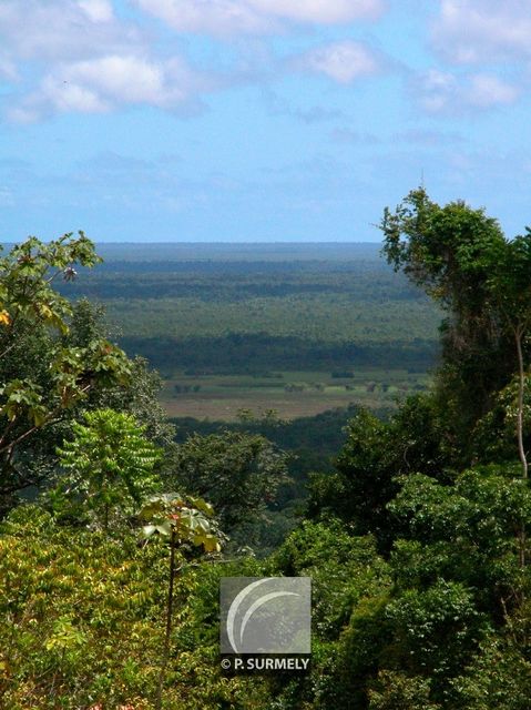 Les Marais de Kaw
Mots-clés: Guyane;Amrique;fort;piste;Kaw