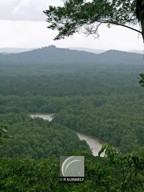 Le Kourou
Mots-clés: Guyane;Amrique;fleuve;rivire;cascade;Kourou
