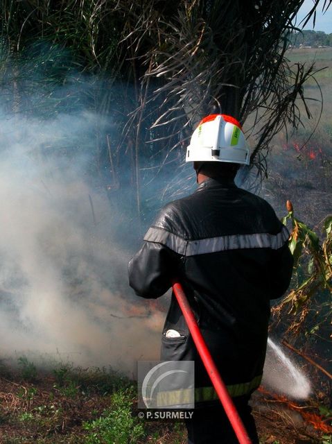 Feu de savane
Matiti
Mots-clés: Guyane;Amrique;tropiques;pompier;SDIS;incendie;feu;secours