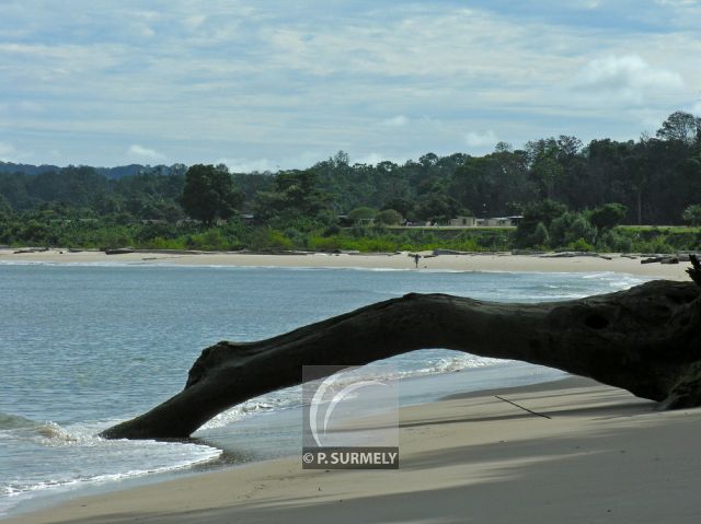 Parc Naturel de Nyonie
Plage
Mots-clés: Afrique;Gabon;tropiques;nature;plage;ocan