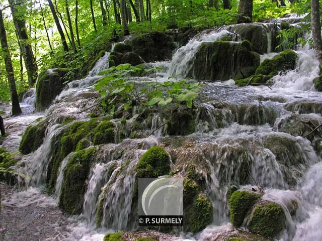 Parc Naturel de Plitvice
Mots-clés: Croatie;Europe;Plitvice;parc naturel