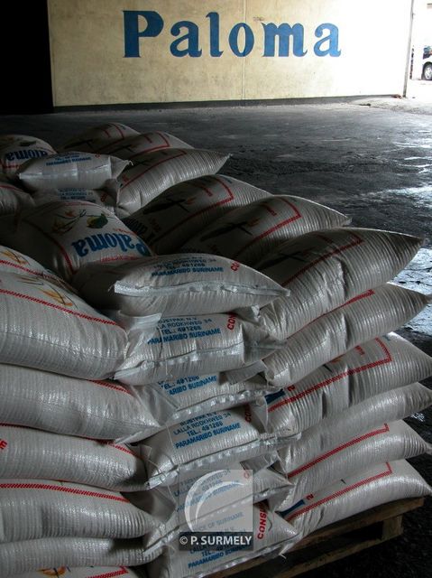 Usine de traitement du riz
Mots-clés: Suriname;Amrique;Nickerie;riz