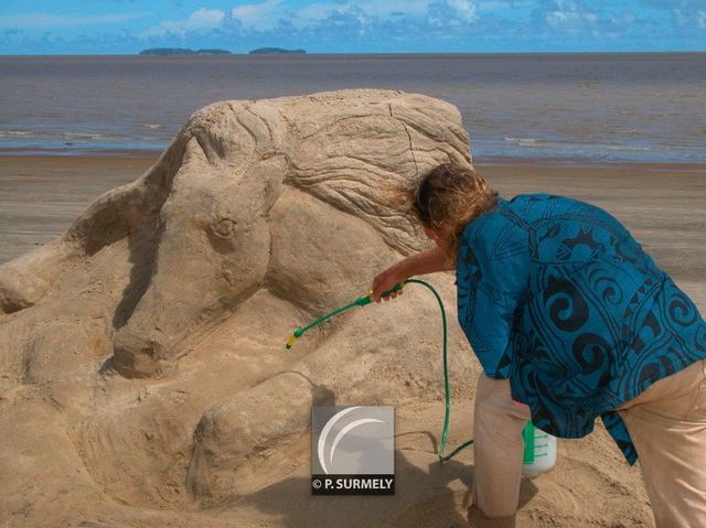 Sculpture sur sable
Mots-clés: Guyane;Amrique;Kourou