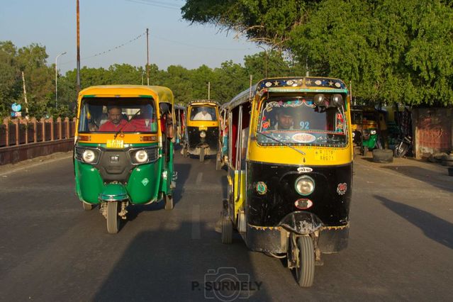 Tuk-tuk dans les rues de Bikaner
Mots-clés: Asie;Inde;Rajasthan;Bikaner