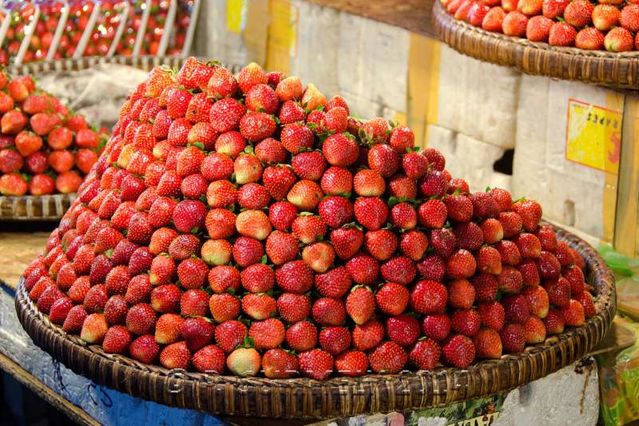 Baguio
Au march de Baguio : prsentation des fraises
Mots-clés: Asie;Philippines;Luzon;Baguio;march