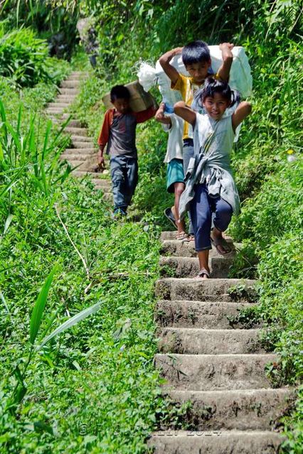 Batad
Les enfants assurent le ravitaillement
Mots-clés: Asie;Philippines;Luzon;Batad