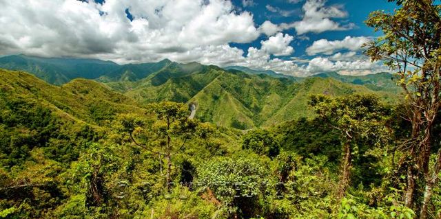 Batad
Les montagnes autour de Batad
Mots-clés: Asie;Philippines;Luzon;Batad