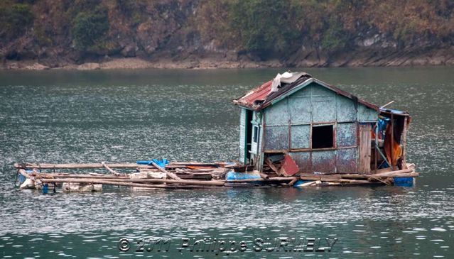 Ferme piscicole
Mots-clés: Asie;Vietnam;Halong;Catba