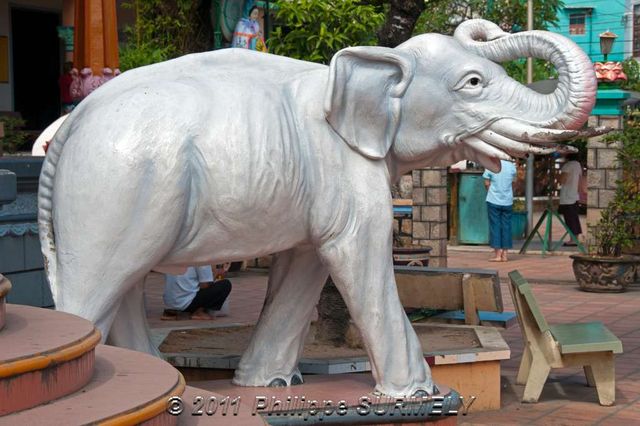 Elephant
Mots-clés: Asie;Vietnam;Mkong;Chaudoc;statue