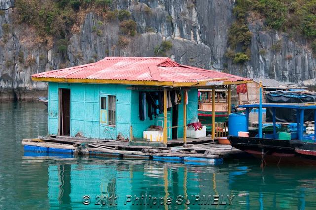Maison flottante
Mots-clés: Asie;Vietnam;Halong;Unesco