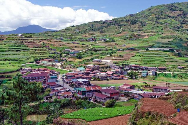 Halsema Highway
Village
Mots-clés: Asie;Philippines;Luzon;Mountain Province