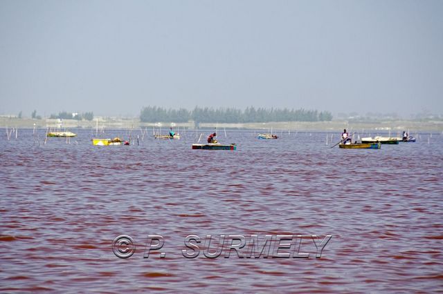 Lac Rose
Mots-clés: Afrique;Sngal;Lac Rose
