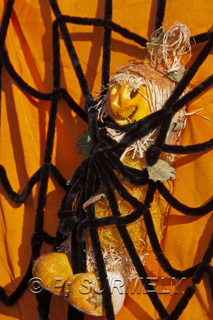 Dans la toile de l'araigne
Fte du Potiron 2011  Logelheim
Mots-clés: Potiron;citrouille;potimaron;Logelheim;Alsace;France;Halloween