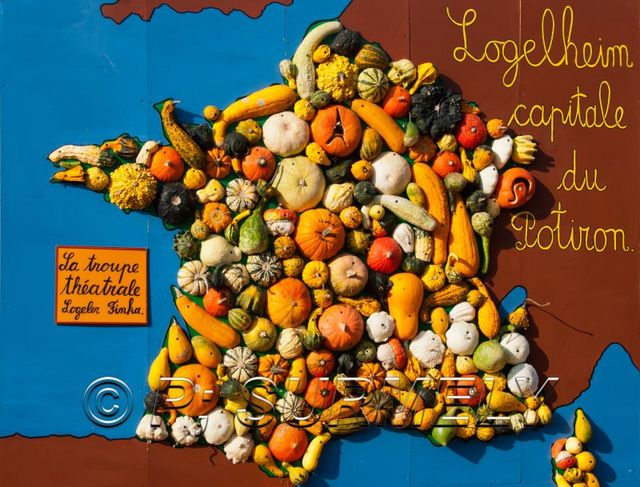 Carte de France
Fte du Potiron 2011  Logelheim
Mots-clés: Potiron;citrouille;potimaron;Logelheim;Alsace;France;Halloween