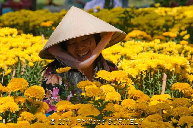 Au march aux fleurs
Mots-clés: Asie;Vietnam;Saigon;HoChiMinhVille;march