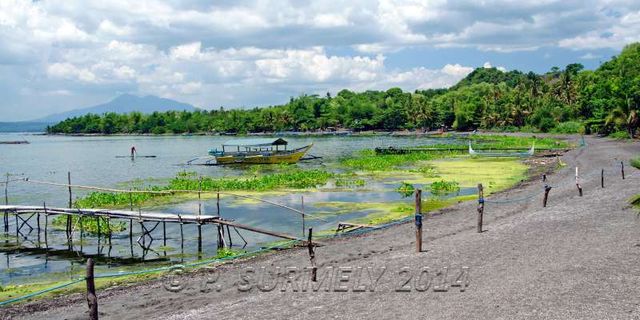 Lac Taal
Sur l'ile, au bord du lac
Mots-clés: Asie;Philippines;Tagaytay;Talisay;Lac Taal;lac