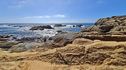 Point_Lobos-0005.jpg