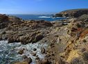 Point_Lobos-0045.jpg