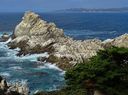 Point_Lobos-0095.jpg