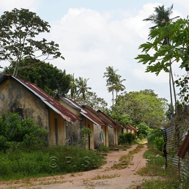 Acarouany
Mots-clés: Guyane;Amrique;Acarouany