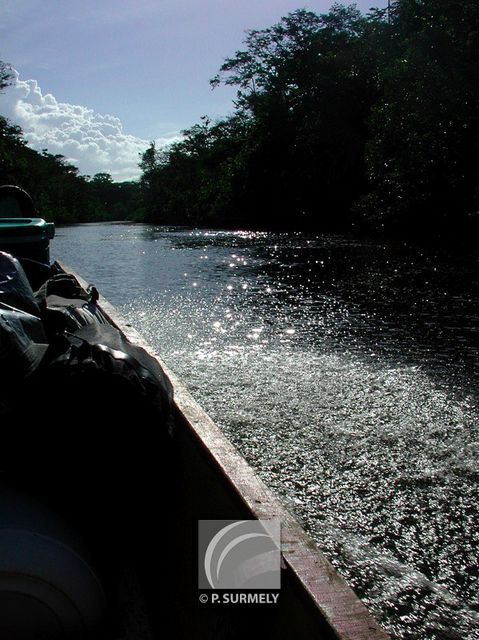L'Acarouany
Mots-clés: Guyane;Amrique;fleuve;rivire;cascade;Acarouany;Javouhey