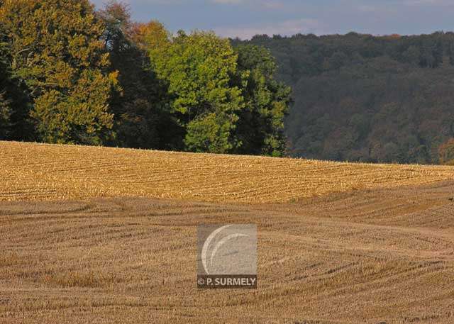 Altkirch
Mots-clés: France;Europe;Alsace;Altkirch