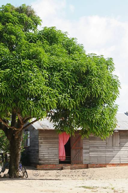 Awala-Yalimapo
Mots-clés: Guyane;Amrique;Awala-Yalimapo