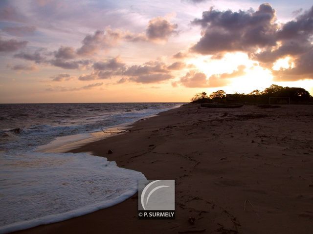 La plage  Awala-Yalimapo
Mots-clés: Guyane;Amrique;ocan;Atlantique;Awala-Yalimapo