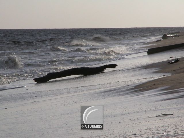 La plage  Awala-Yalimapo
Mots-clés: Guyane;Amrique;ocan;Atlantique;Awala-Yalimapo