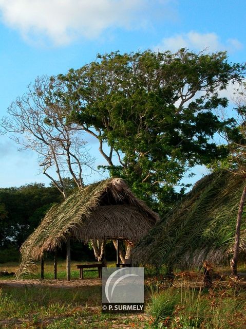 Awala-Yalimapo
Mots-clés: Guyane;Amrique;Awala-Yalimapo