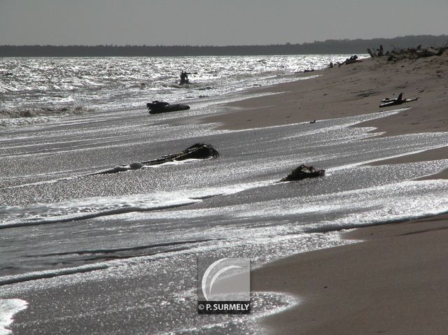 La plage  Awala-Yalimapo
Mots-clés: Guyane;Amrique;ocan;Atlantique;Awala-Yalimapo