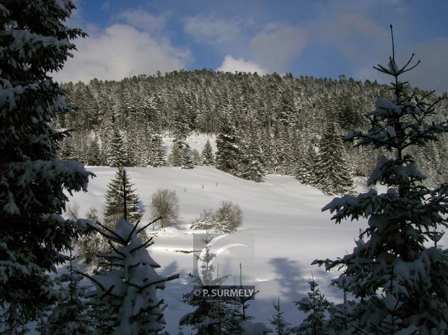 Belbriette
Mots-clés: France;Europe;Vosges;Grardmer;Belbriette;neige