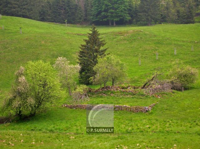 Belbriette
Mots-clés: France;Europe;Vosges;Grardmer;Belbriette