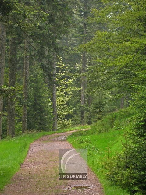 Belbriette
Mots-clés: France;Europe;Vosges;Grardmer;Belbriette