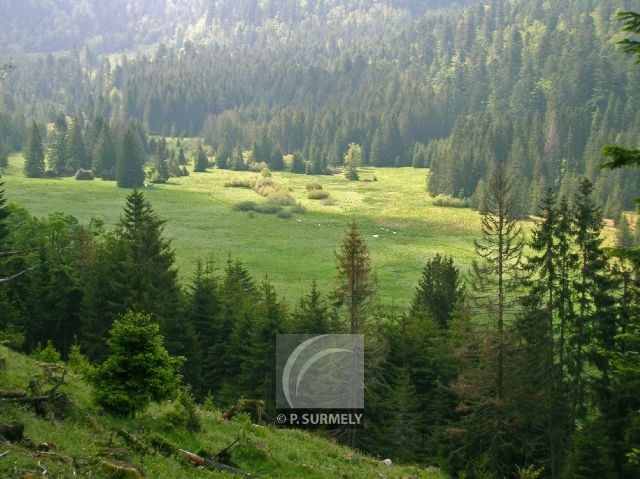 Belbriette
Mots-clés: France;Europe;Vosges;Grardmer;Belbriette