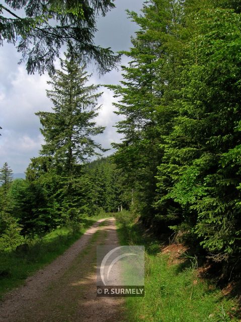 Belbriette
Mots-clés: France;Europe;Vosges;Grardmer;Belbriette