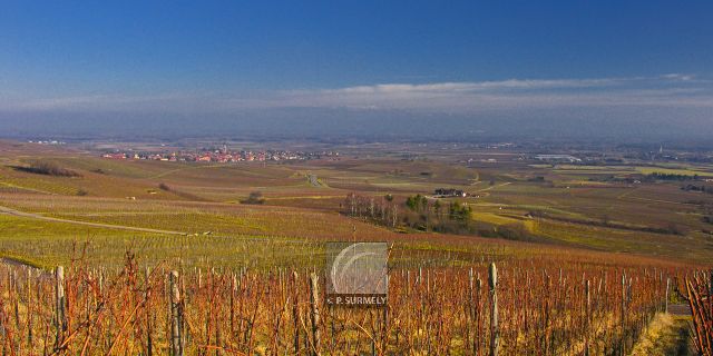 Bergheim
          
Mots-clés: France;Europe;Alsace;Bergheim