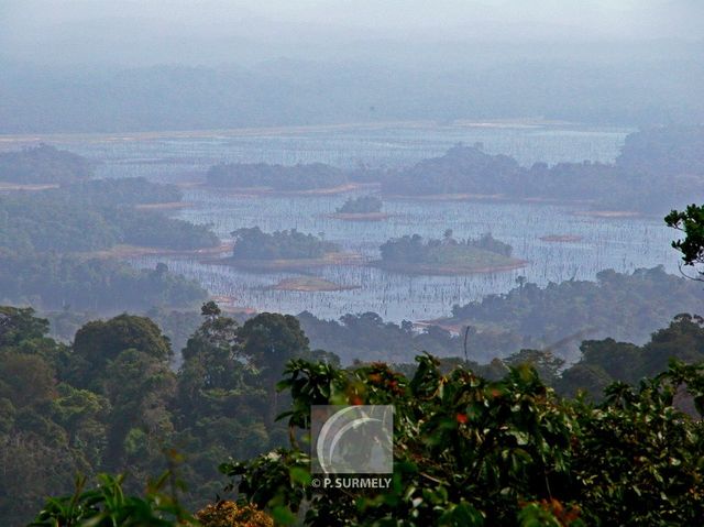 Brownsberg
Vue sur le lac Brokopondo
Mots-clés: Suriname;Amrique;Brownsberg;rserve