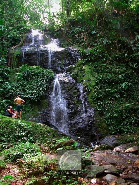 Brownsberg
Cascade
Mots-clés: Suriname;Amrique;Brownsberg;rserve