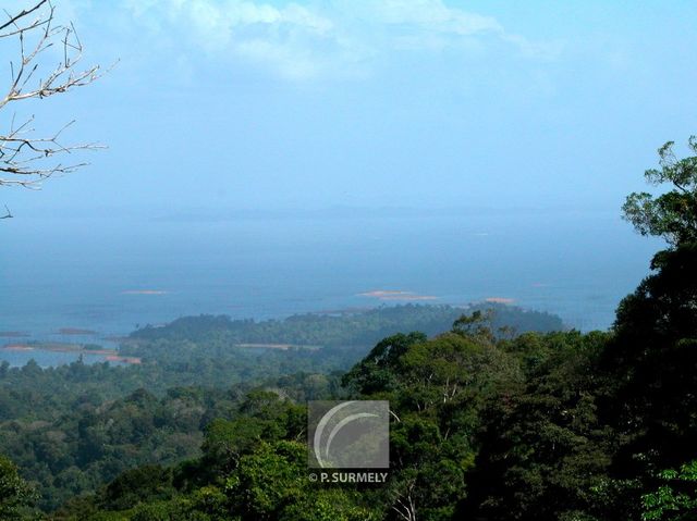 Brownsberg
Vue sur le lac de Brokopondo
Mots-clés: Suriname;Amrique;Brownsberg;rserve;Brokopondo