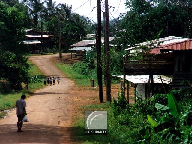 Cacao
Mots-clés: Guyane;Amrique;Cacao