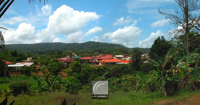 Cacao
Mots-clés: Guyane;Amrique;Cacao;panorique