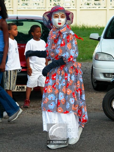 Carnaval
Carnaval de Guyane 2003
Mots-clés: Guyane;Amrique;tropiques;carnaval;festivit;dguisement